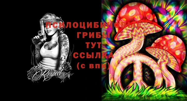 2c-b Коряжма