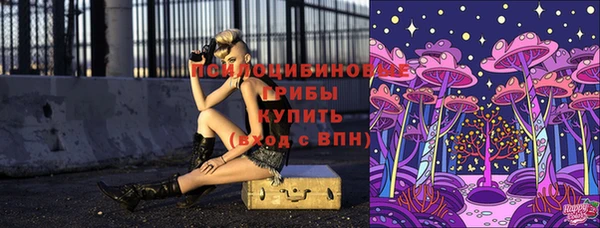 спиды Костерёво