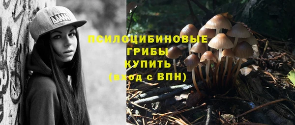 спиды Костерёво