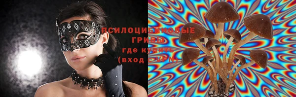 не бодяженный Козельск